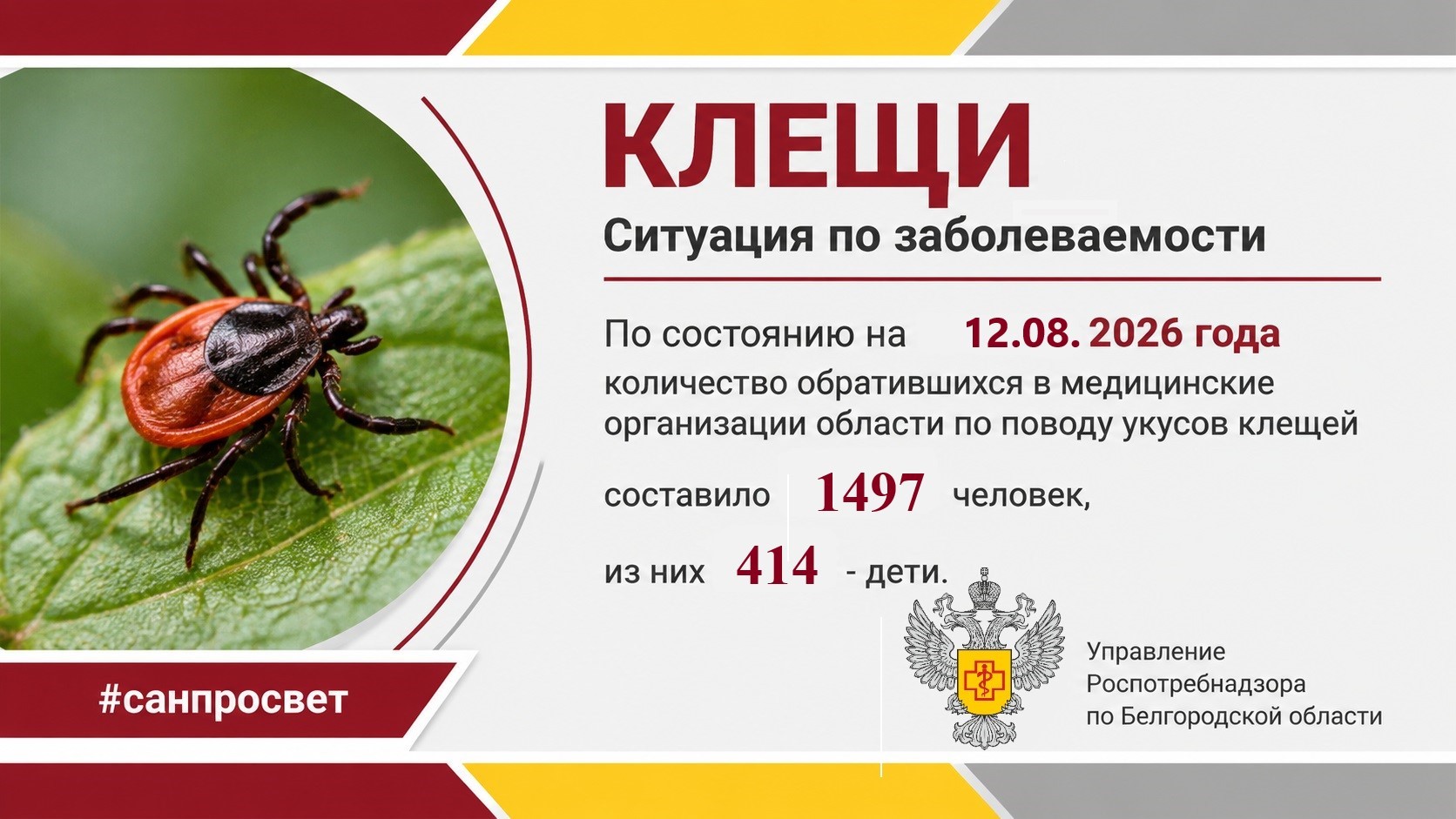 О ситуации по заболеваемости инфекциями, передающимися через укусы клещей и мерах профилактики на территории Белгородской области