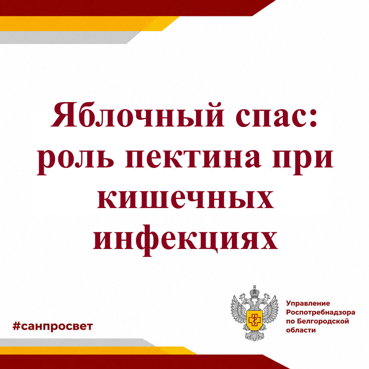 Яблочный спас: роль пектина при кишечных инфекциях